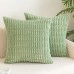 Eoioac Green Throw Pillow – Soft, Decorative Cushion for Sofas, Beds, and Chairs, Perfect for Living Rooms or Bedrooms